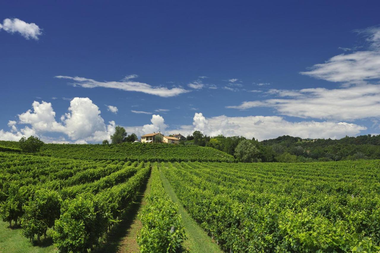 Agriturismo Moro Barel Vittorio Veneto Exterior foto